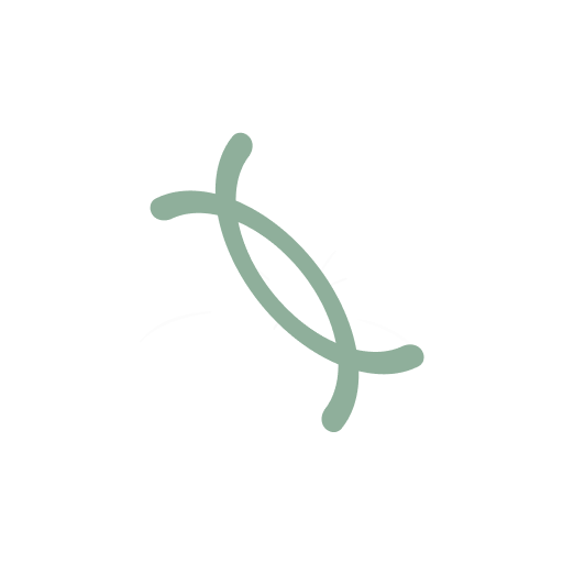 Kinlily app icon on white